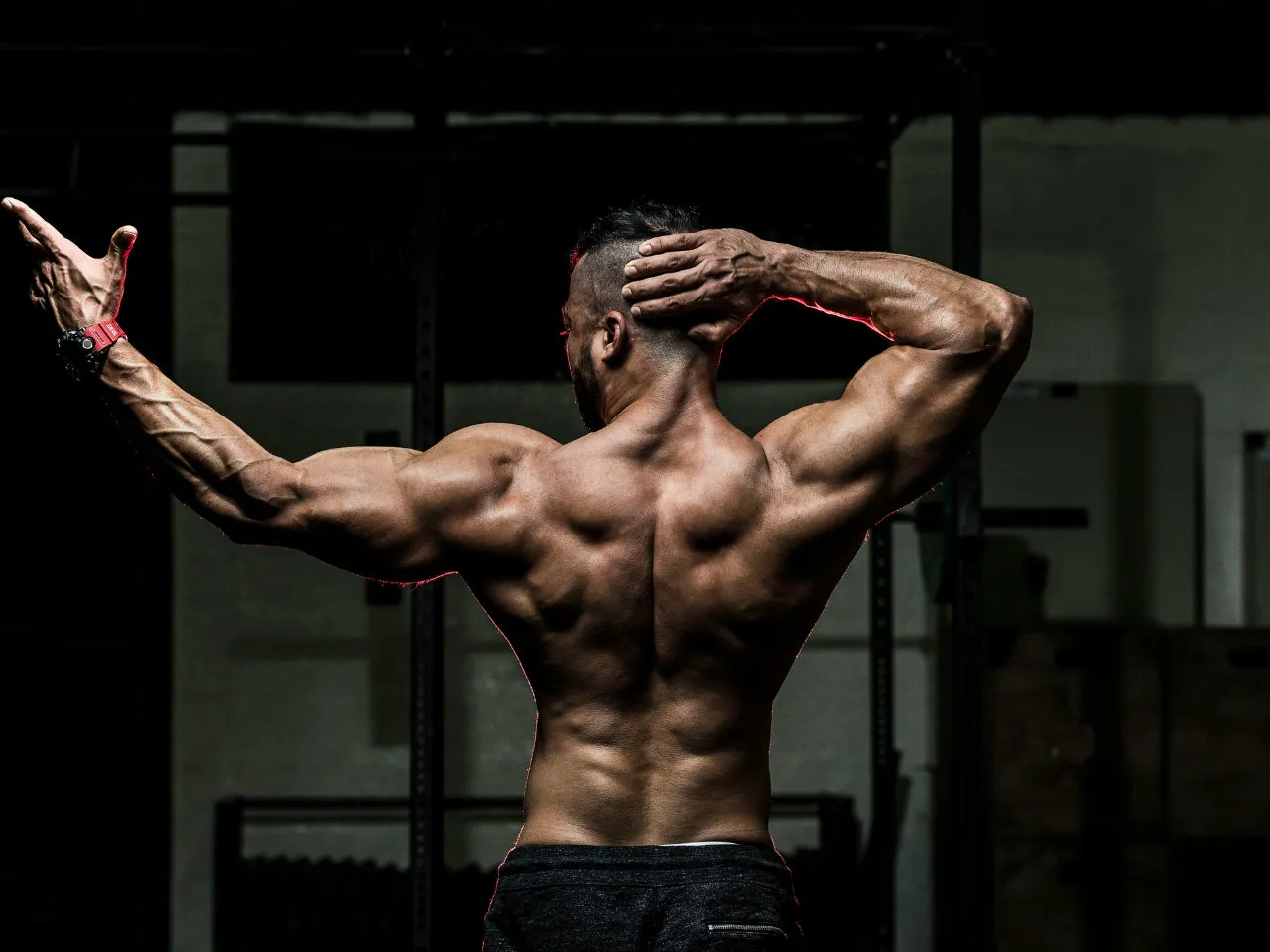 The Science Behind Effective Back Workouts
