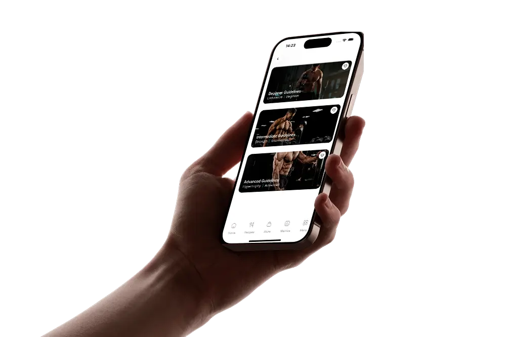 Fitsse app gym program screen